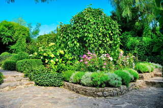 Гостевой дом Казантипс Щёлкино-1